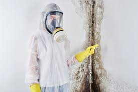 Mold Documentation for Insurance Claims in Madison, WV